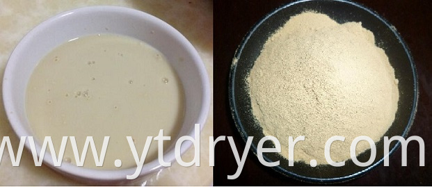 Yeast-1